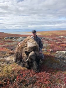 2018 Musk Ox Hunt in Tundra